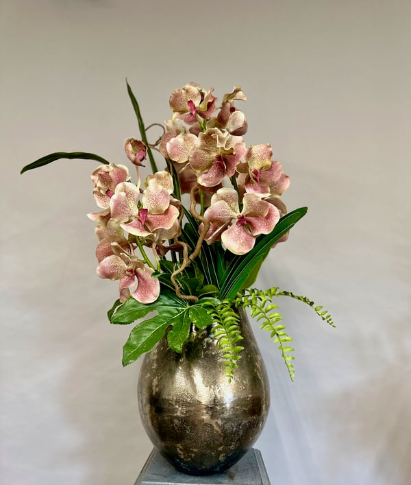 Pink Vanda orchids in a vase