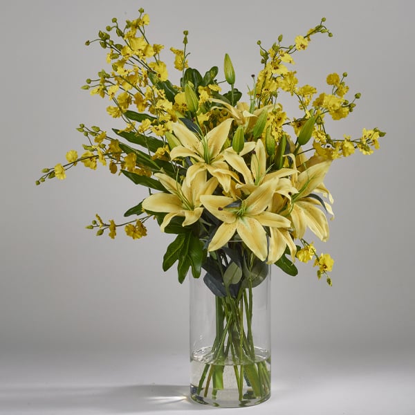 Vibrant Cadenza Yellow Lily