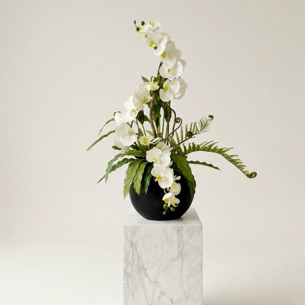 Lunar Grace 1