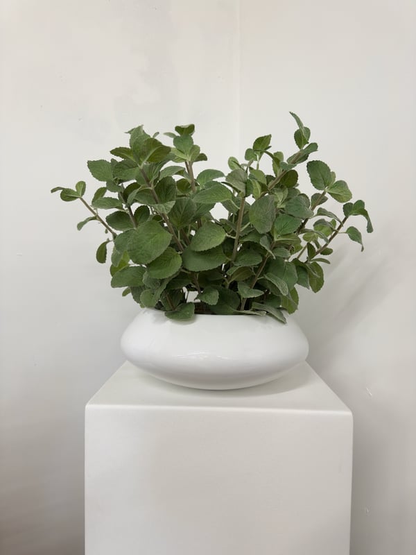 Artificial Mint Herb Plant in White Planter