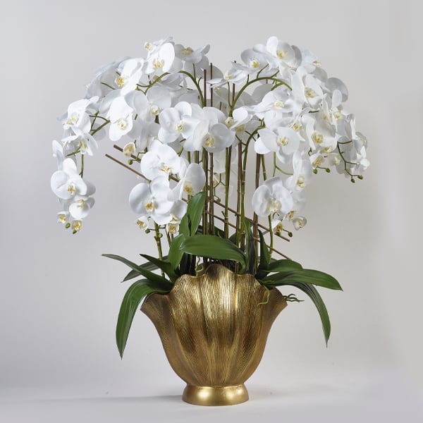 Real touch orchids