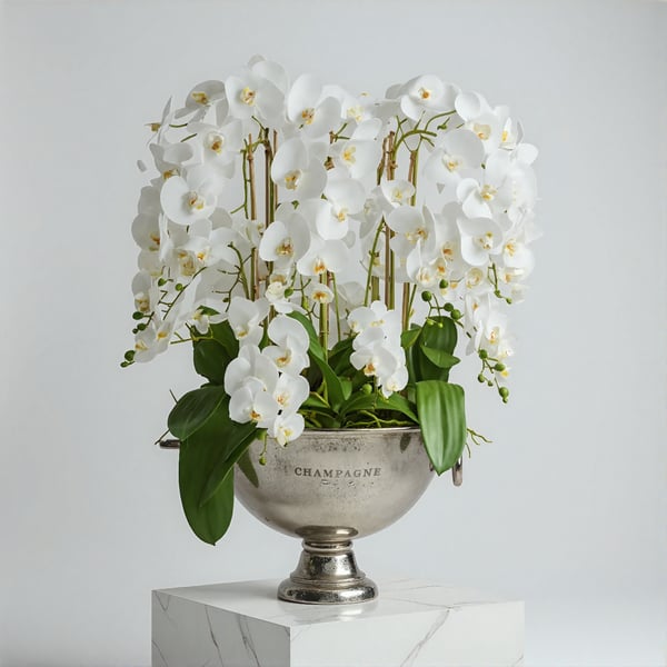 White orchids in a large round champagne cooler