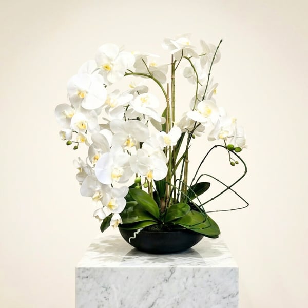 White Whisper