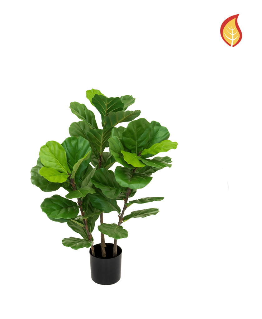 FIDDLE TREE 90CM FR - Demmerys