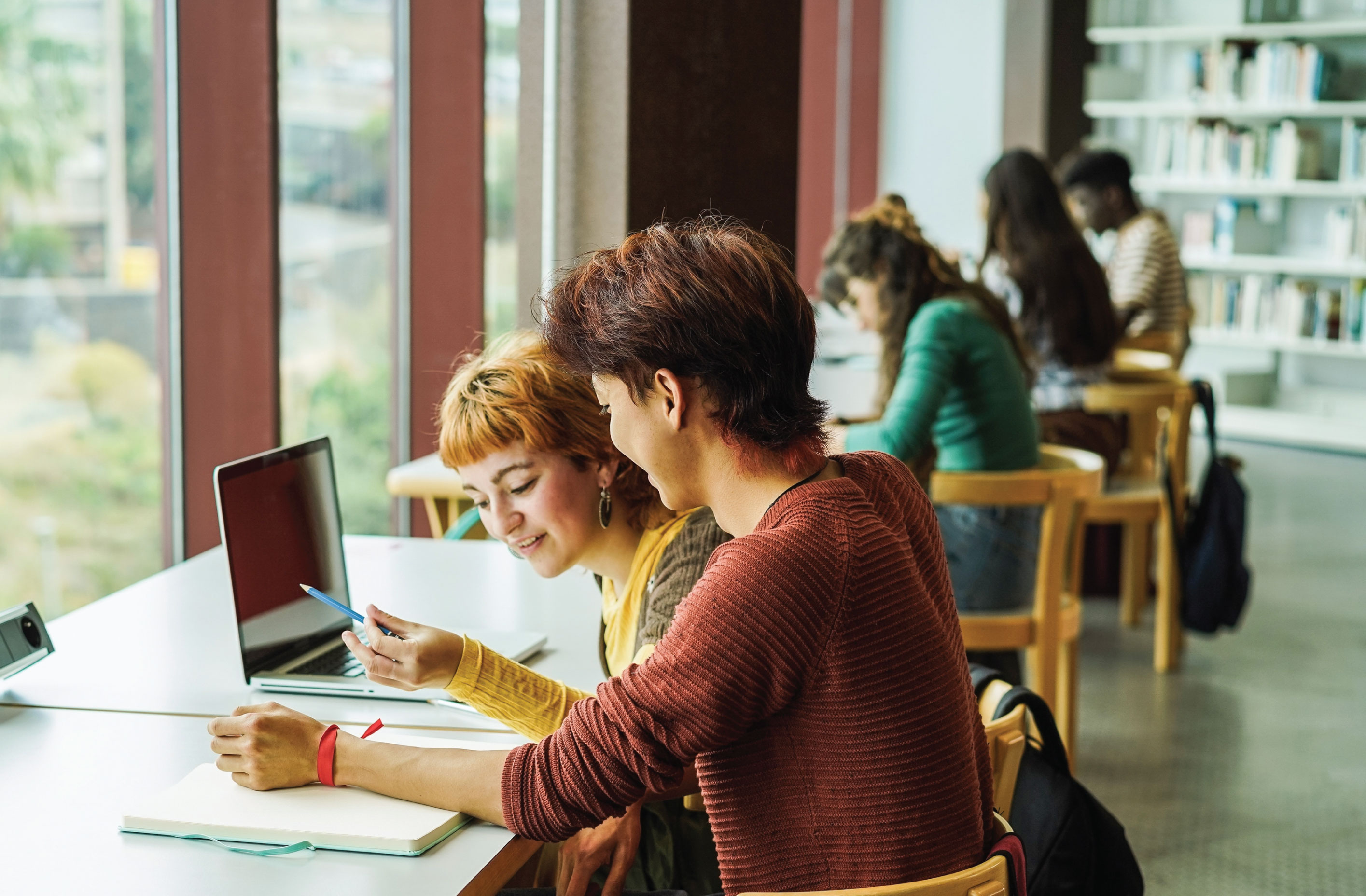 LapSafe in Universities