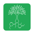 LapSafe Plant A Tree