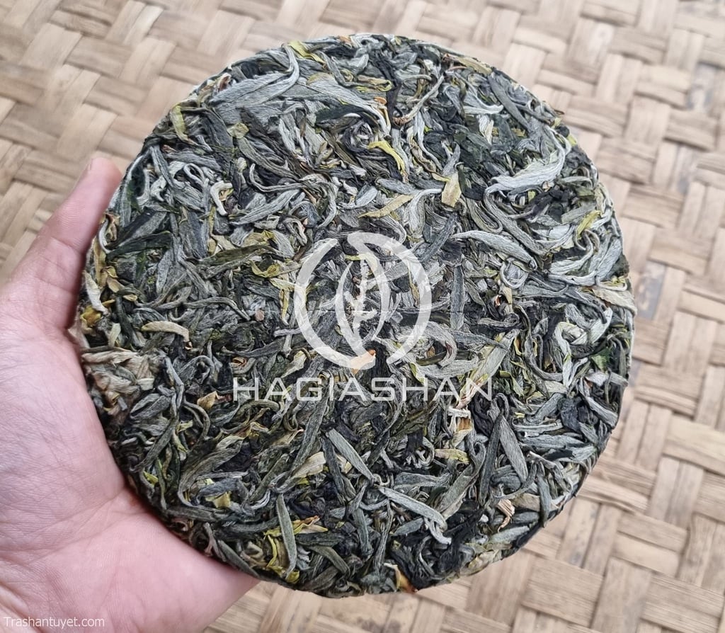 Trà Phổ Nhĩ Hà Giang - Hình ảnh 7