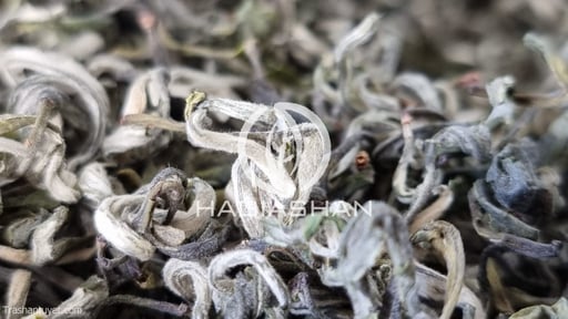 Lục Trà Shan Tuyết
