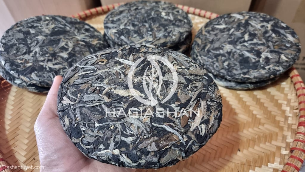 bạch mẫu đơn