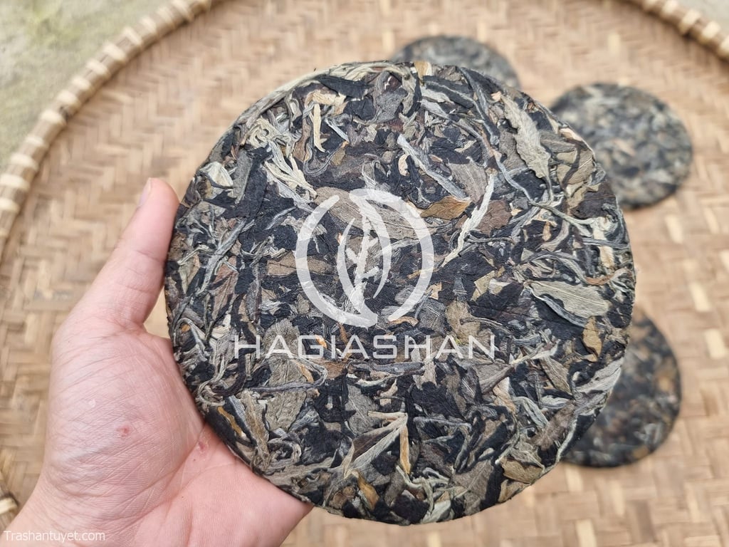 Bạch trà mẫu đơn - Hình ảnh 3