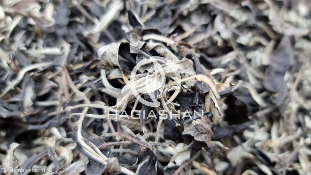 Bạch trà mẫu đơn