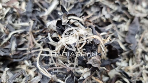 Bạch trà mẫu đơn