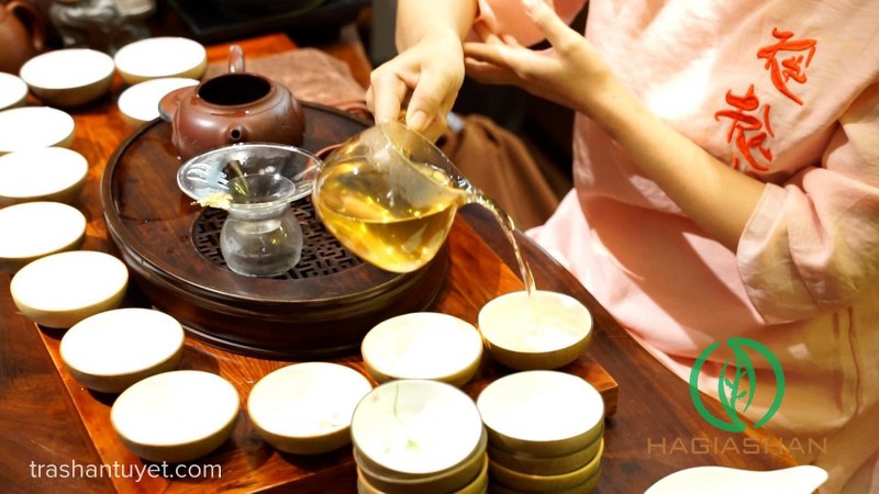 Cách pha lục trà