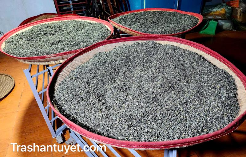 Địa chỉ bán trà shan tuyết ngon ở Hà Nội