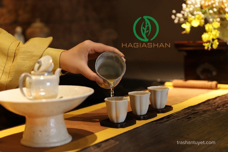 hướng dẫn cách pha trà