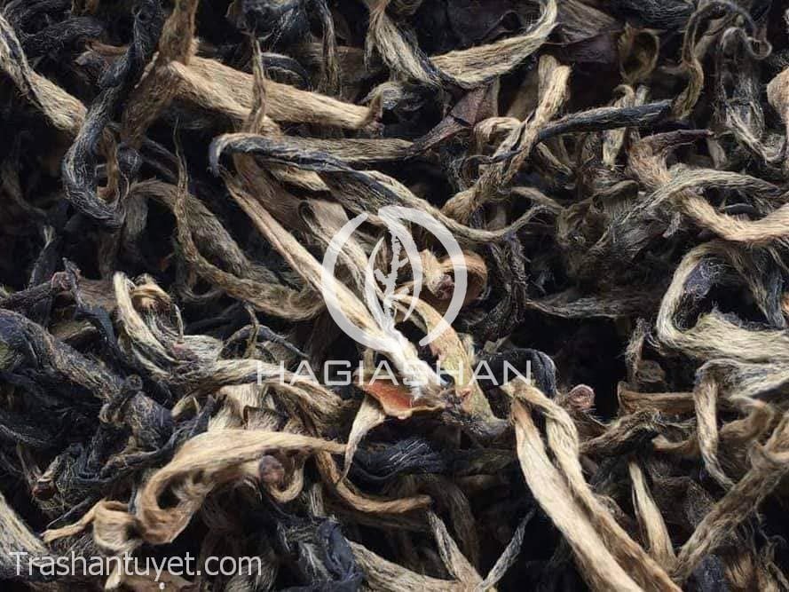 Hồng trà shan tuyết