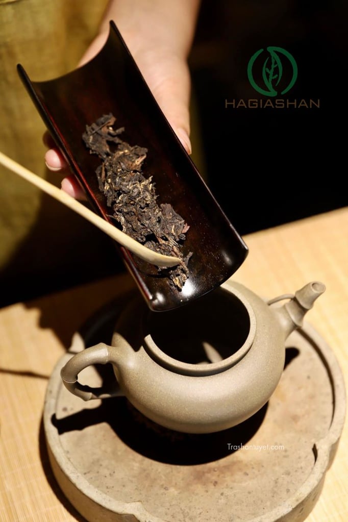 Hướng dẫn cách pha trà phổ nhĩ đúng cách