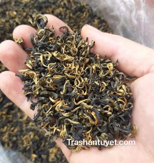 Hồng Trà Shan tuyết