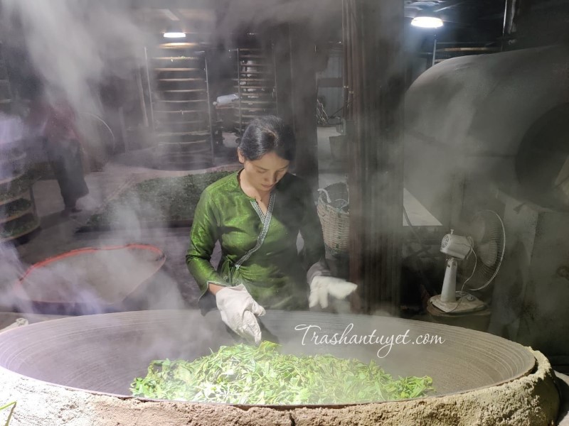 Chế biến lục trà bằng phương pháp thủ công chảo gang bếp củi