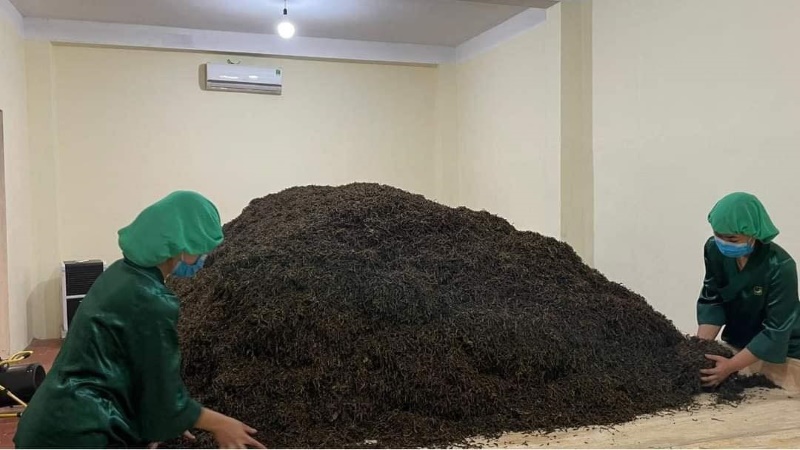 Vì sao trà Phổ Nhĩ chín lại có màu đỏ
