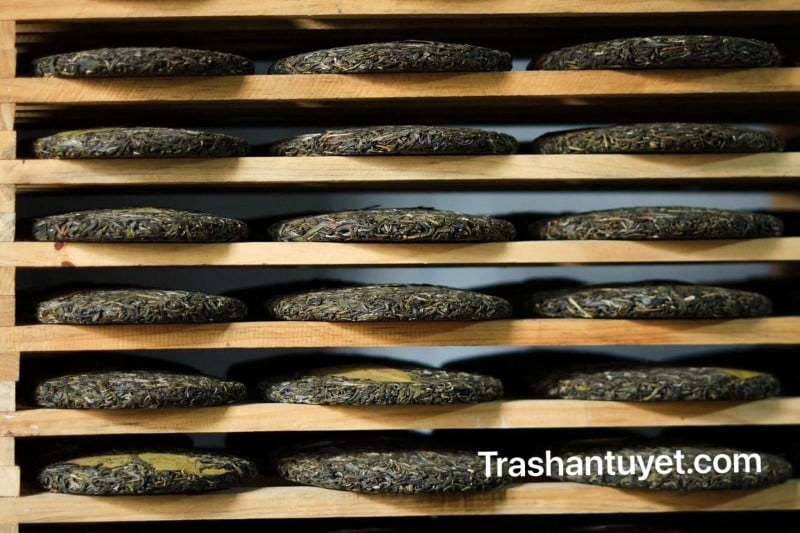 Bảo quản trà Phổ Nhĩ đảm bảo môi trường phải thoáng khí