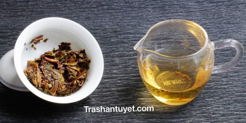 Nước và bã trà phổ nhĩ sống nhìn tươi, có sức sống.