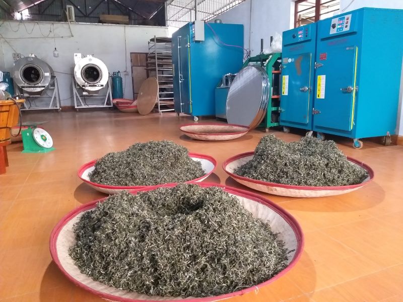 không tham uống trà khi mới chế biến xong