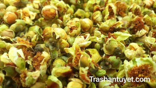 Nụ Hoa Trà Shan Tuyết