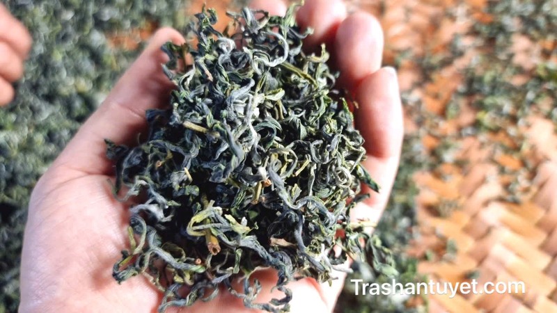 Trà shan tuyết Lùng Phìn có cánh mỏng, màu xanh rêu, điểm các bông tuyết nhỏ xinh mịn mượt
