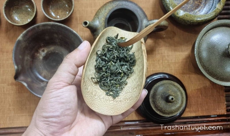 Địa chỉ bán trà shan tuyết Lũng Phìn uy tín tại Hà Giang và trên toàn quốc