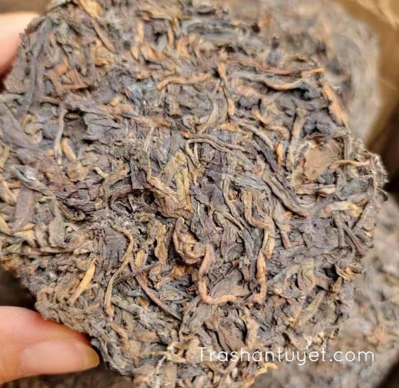 Trà Phổ Nhĩ để lâu năm