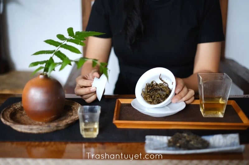 Trà Phổ Nhĩ sống lão hoá tự nhiên chậm nên khả năng chống ôxy hoá, giảm mỡ máu, cân bằng đường huyết tốt hơn