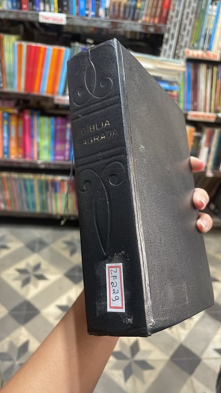 alternative text