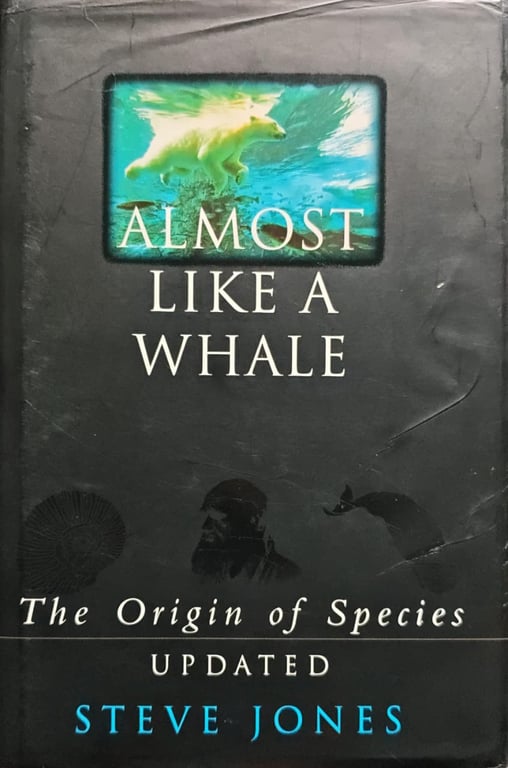 alternative text