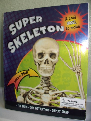 alternative text