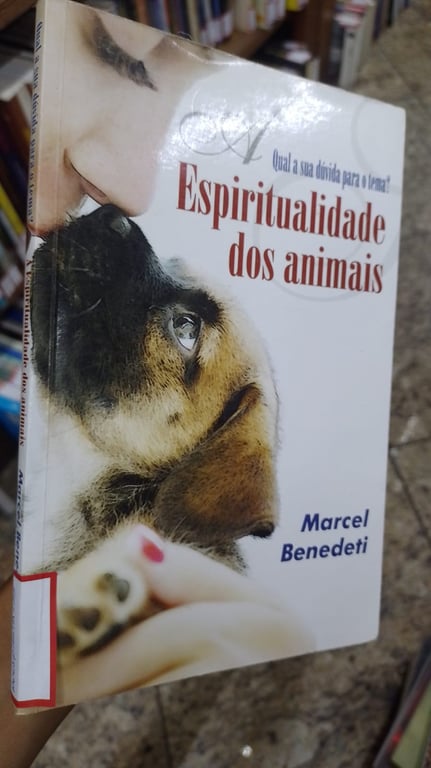 alternative text