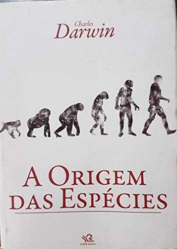 alternative text