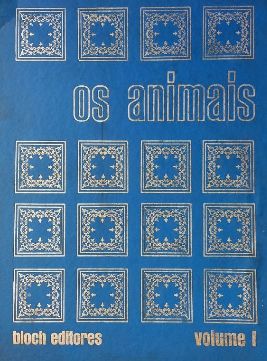 alternative text