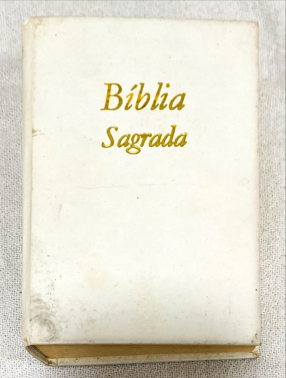 alternative text