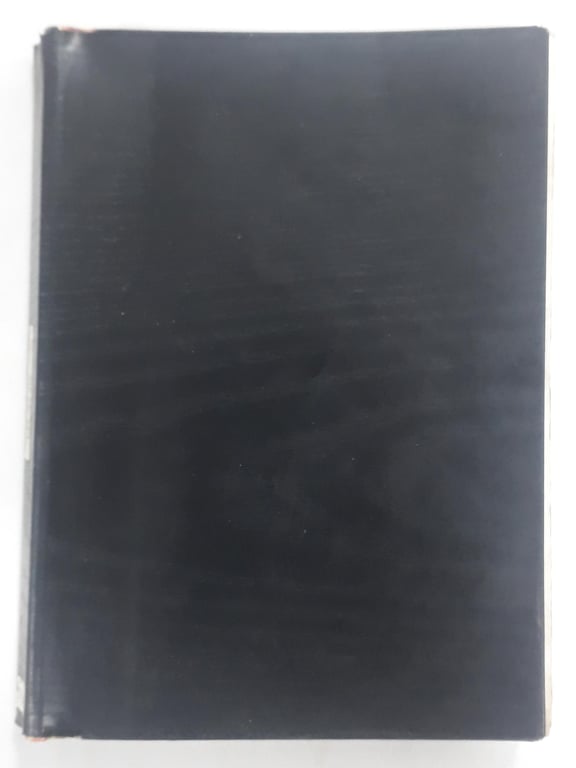 alternative text