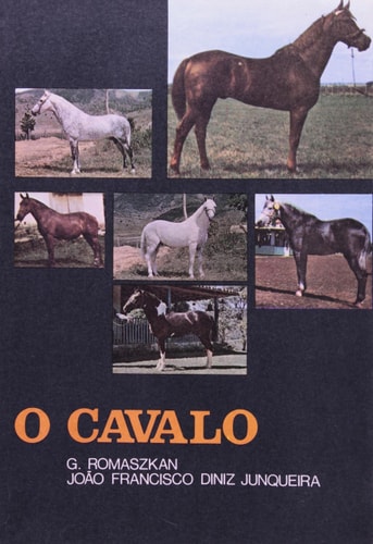 alternative text