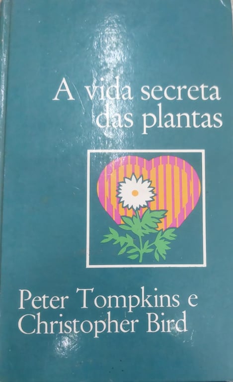 alternative text