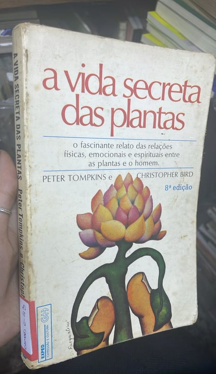 alternative text