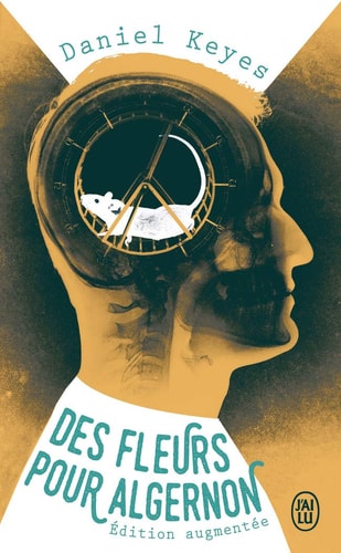alternative text