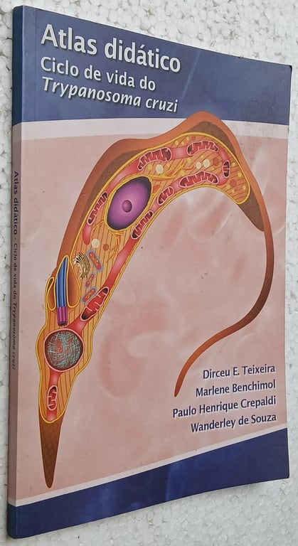 alternative text