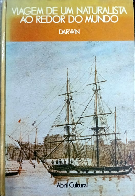 alternative text