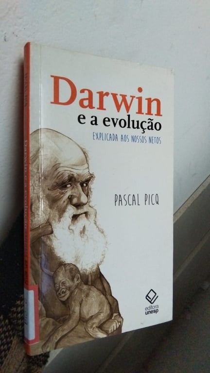 alternative text
