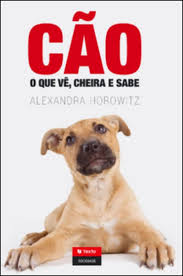 alternative text