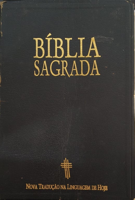 alternative text