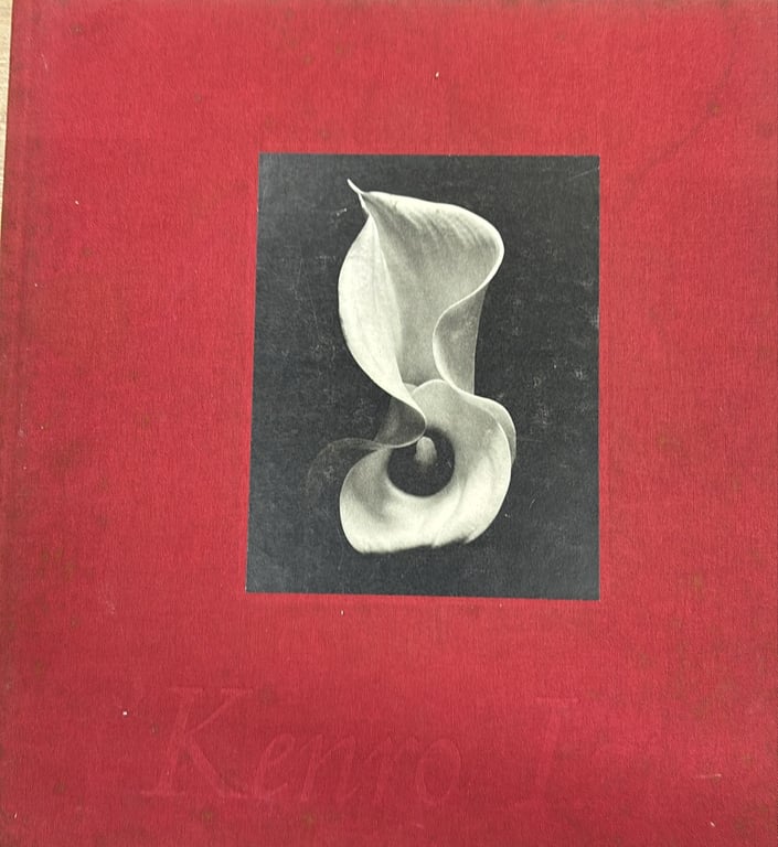 alternative text